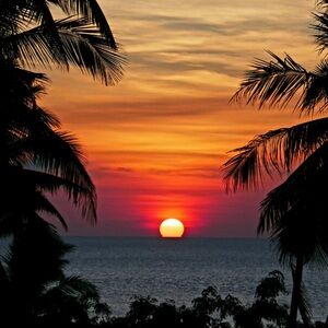 Meet your Posher, Golden Sunset